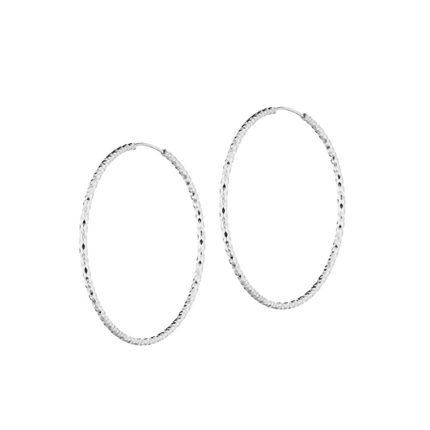EARRINGS  SILVER 925 - 101895 - Availability: Immediately