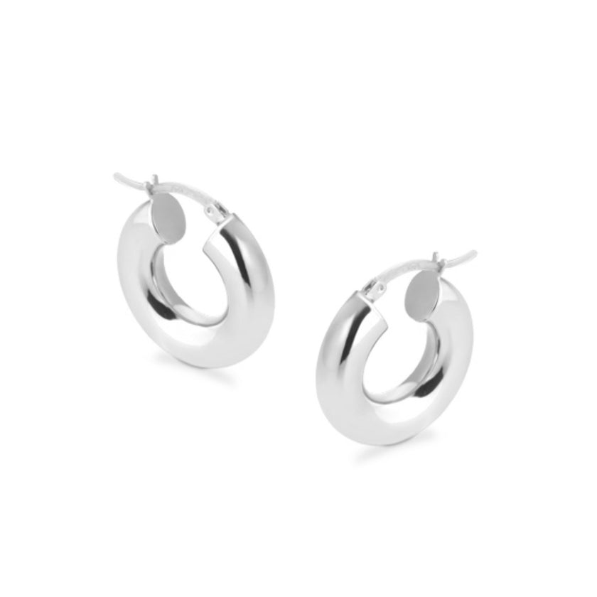 EARRINGS SILVER 925 - 101902 - Availability: Immediately