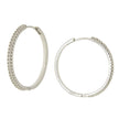 EARRINGS  SILVER 925 & C.Z. - 102703 - Availability: Immediately