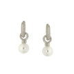 EARRINGS  SILVER 925 & C.Z. - 102714 - Availability: Immediately