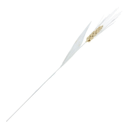 WHEAT SILVER 925 - 94154
