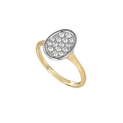 RING YELLOW & WHITE GOLD 750 & PRECIOUS STONES