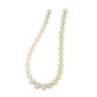 NECKLACE  FRESH WATER PEARLS - 98068