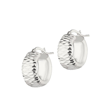 EARRINGS  SILVER 925 - 99636