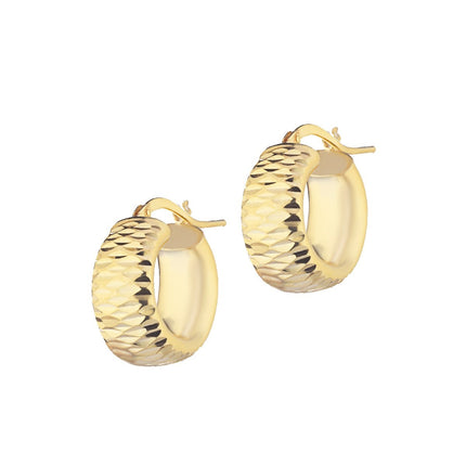 EARRINGS  SILVER 925 - 99638